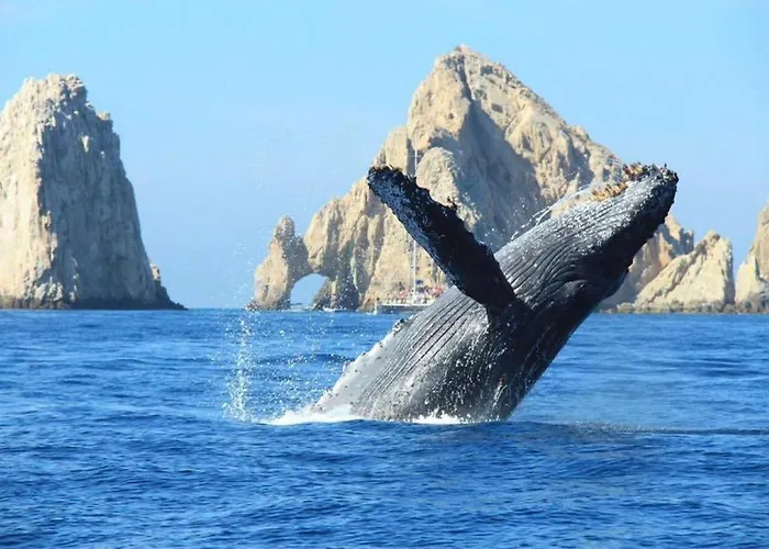 Location In Medano -marina Sol Lrg 2 Bed Steps To Beach, Downtown & Marina Cabo San Lucas
